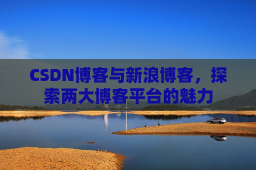 CSDN博客与新浪博客，探索两大博客平台的魅力